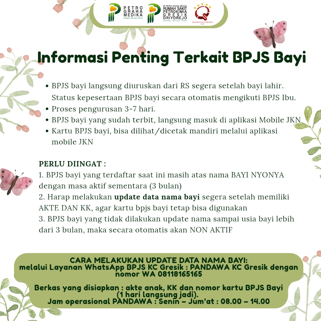 Pengurusan BPJS Bayi 1