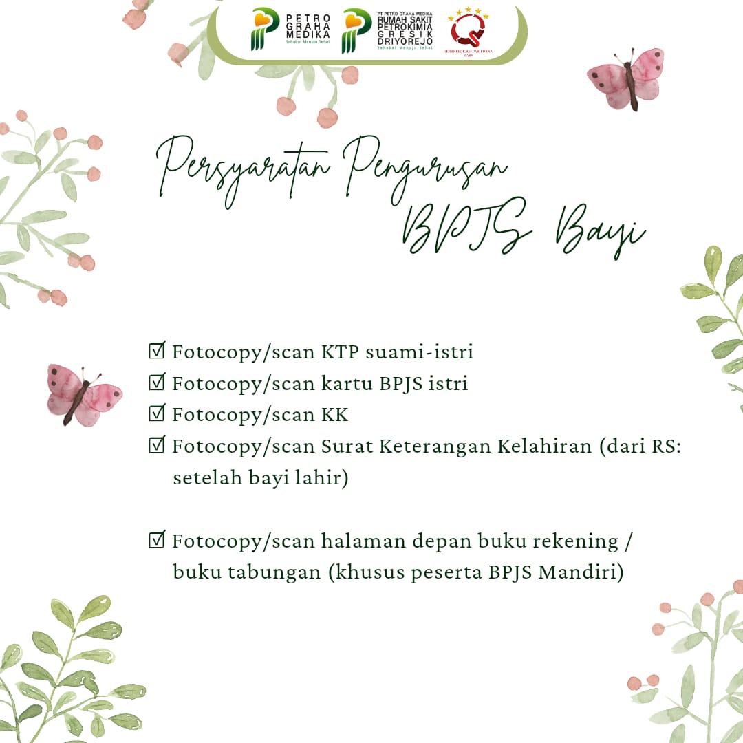 Pengurusan BPJS Bayi 2